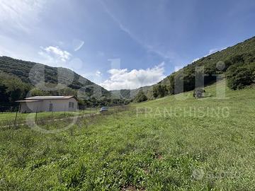 Terreno Agricolo Segni [Cod. rif 3261218VCG]