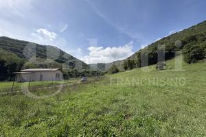 Terreno Agricolo Segni [Cod. rif 3261218VCG]