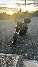 Benelli leoncino 500 trail