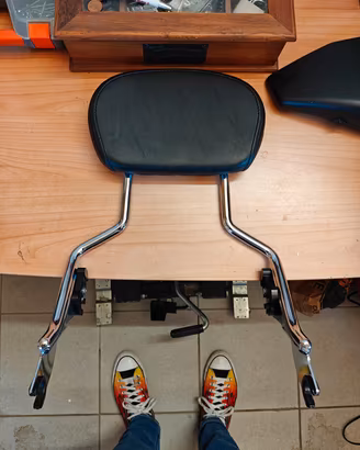 Schienalino Harley Touring