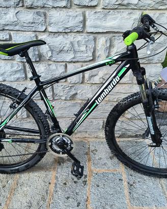 Bicicletta M.Bike