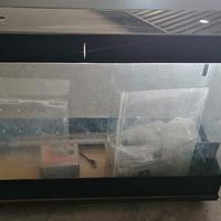 ACQUARIO