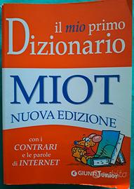 Dizionario ragazzi