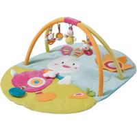 Brevi Palestrina Activity 3-d Coniglio