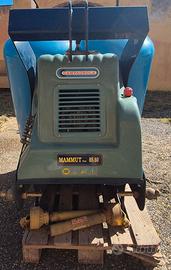 Compressore per potatura Campagnola Mammut 800 L