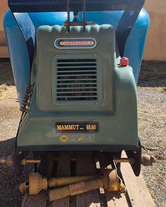 Compressore per potatura Campagnola Mammut 800 L