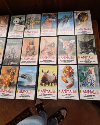 Videocassette DEAGOSTINI.