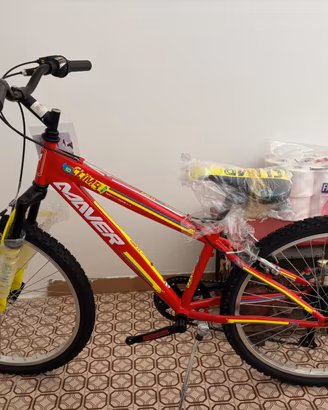 Bicicletta mountain bike