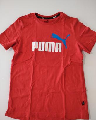 Abbigliamento 