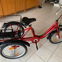 Bicicletta assistita a tre ruote