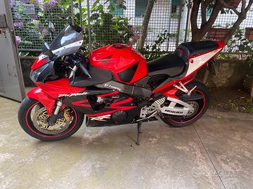 Cbr 954 rr