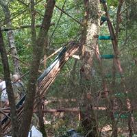 Appostamento fisso per colombacci