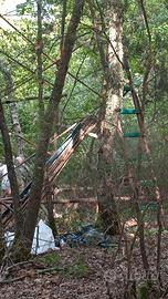 Appostamento fisso per colombacci