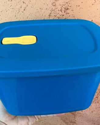 Contenitore Crystal Wave TUPPERWARE da 2,3 l