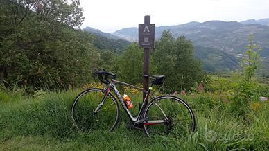 Bici da corsa specialized Parigi Rubais Taglia M