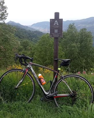 Bici da corsa specialized Parigi Rubais Taglia M