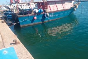 Barca a motore con licenza da pesca