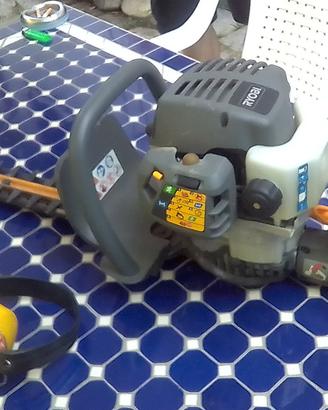 tagliasiepi professionale
