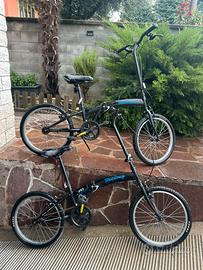 Due biciclette pieghevoli
