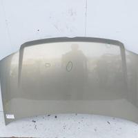 51876323 COFANO ANTERIORE FIAT PANDA (169) 1.3 MUL