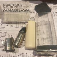 Bocchino metallo sax