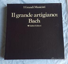 cofanetto 10 lp il grande artigiano classica