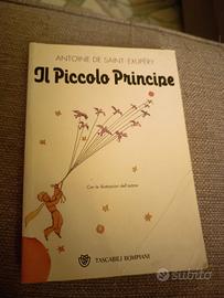 Il piccolo principe 