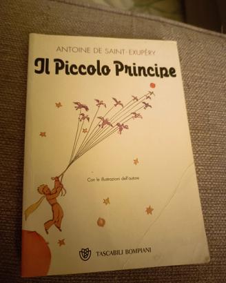 Il piccolo principe 