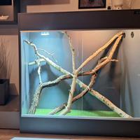 Terrario RH-Frank S  120x120x55 antracite