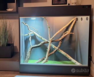 Terrario RH-Frank S  120x120x55 antracite