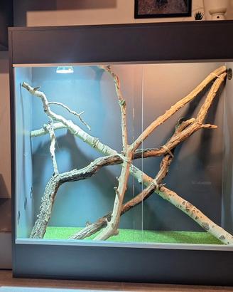 Terrario RH-Frank S  120x120x55 antracite