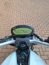 Ducati monster 797
