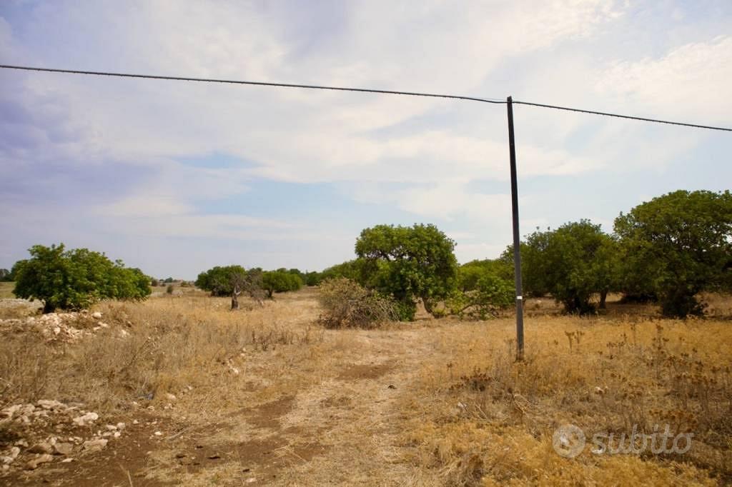 Terreno Agricolo di 27000 m² a Marina di Ragusa - Vista 4