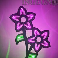 Luminaria Salentina - Fiore 50x70 cm