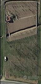 Terreno ad uso orto comune di Terruggia