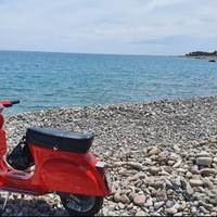 Piaggio Vespa 50 Special (V5B3) - 1980