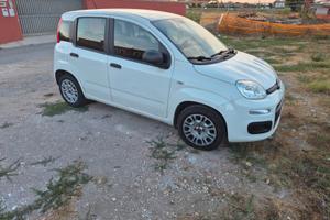 Panda 1300 diesel anno 2017