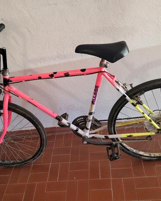 bicicletta MTB
