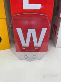 Cupolino Kawasaki Versys X300