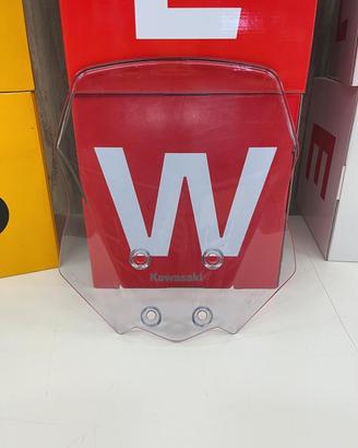 Cupolino Kawasaki Versys X300