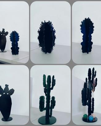 cactus 🌵