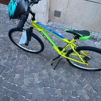 Bicicletta