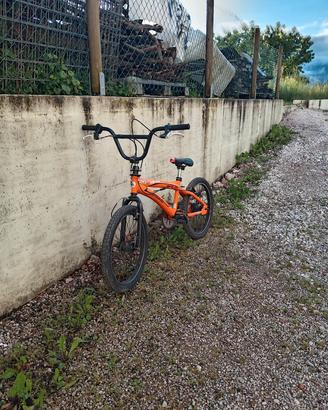 bmx lombardo