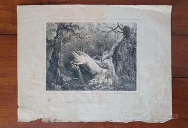 Stampa antica Maremma Romana incisione vintage
