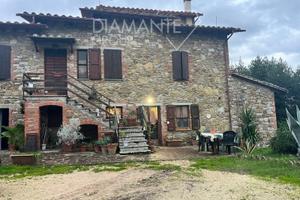 Porzione di casale vista lago con oliveto e pozzo