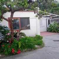 Casa vacanze Ischia