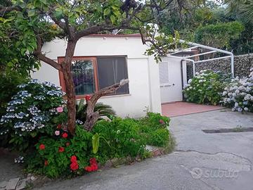 Casa vacanze Ischia