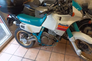 Dominator NX 650