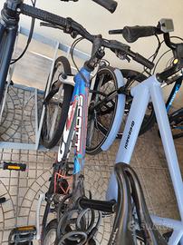 bici MTB della scott