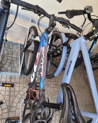bici MTB della scott